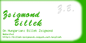 zsigmond billek business card